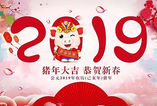 币游国际年会第二档——新时代幼儿园、静海阳光幼儿园